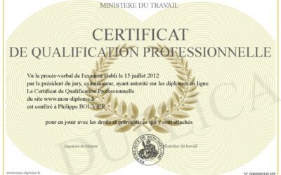 Le mag de la formation Comment Obtenir et Gérer un Certificat de Qualification Professionnelle (CQP) en France ?