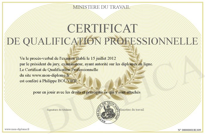 Obtenir un certificat de qualification professionnelle contenant les mots « certificat de qualification professionnelle ».