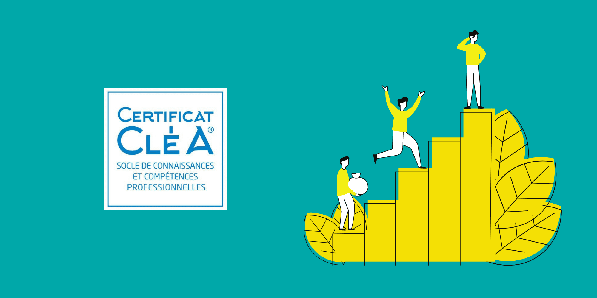 certificat cléa