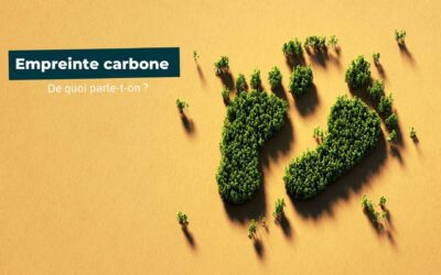 Le mag de la formation Bilan Carbone Obligatoire : L’Echec d’un Symbole du Mepris des Enjeux Climatiques en France