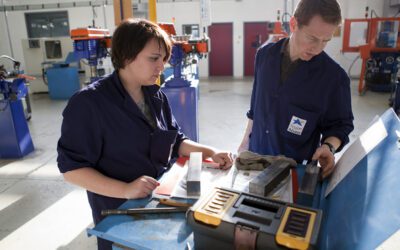 Le mag de la formation Taux de Retour à l’Emploi des Apprentis Diplômés de CAP à BTS : 70 % En Emploi Un An Après la Fin d’Études