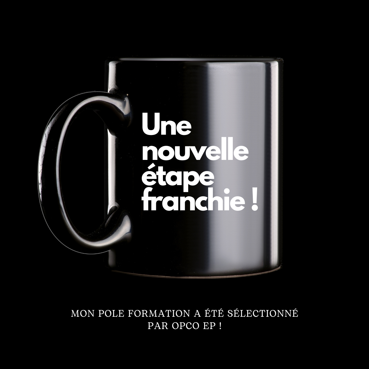 Mon Pole Formation : Sélectionné par l’OPCO EP pour un marché public prestigieux - formation opco