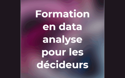 Formation en data analyse pour les décideurs